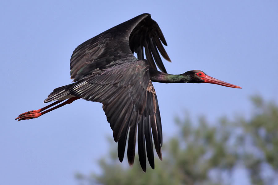 Win free weekend image